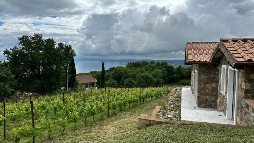 Gradoli Casa | NEW! Apartment immersed in a vineyard