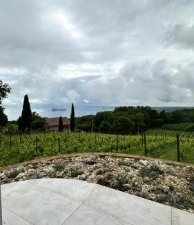 Gradoli Casa | NEW! Apartment immersed in a vineyard