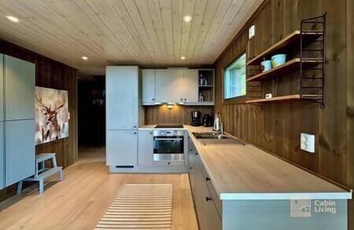 Svingvoll Casa | New cabin Vestlia Skeikampen ski-in/out X-skiing