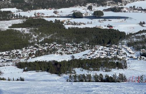 Kviteseid Casa | New cabin Vrådal - sunny - fantastic hiking areas