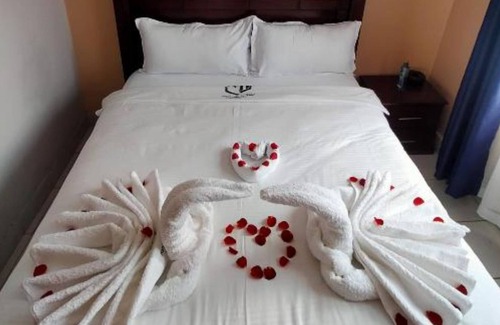 Pangani Hotel | New Carnation Hotel