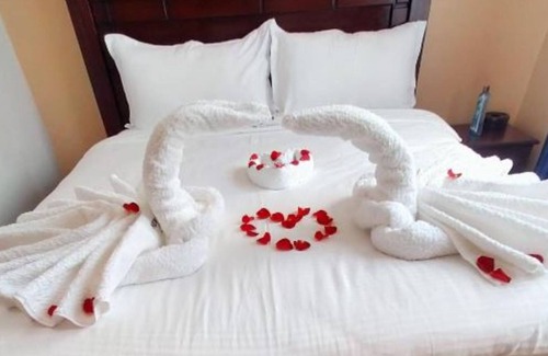 Pangani Hotel | New Carnation Hotel