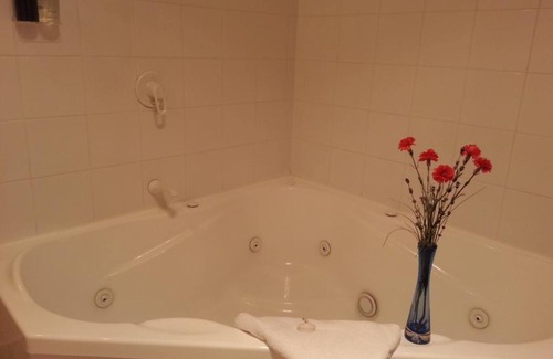 Rotorua Hotel | New Castle Motor Lodge
