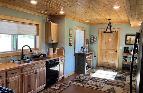 Island Park Cabina | New Centennial Chalet Cabin near Yellowstone with Teton Vuews!