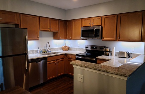 Nellysford Condominio | Pet-Friendly Wintergreen Piso / 1BD / 2BA - Reserva ahora para la temporada de esquí!