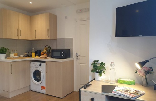 Putney Apartamento | New cosy studio in calm area near parks