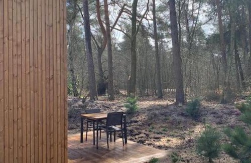 Beekbergen-Zuid Casa | New Cosy Tiny House in the forest