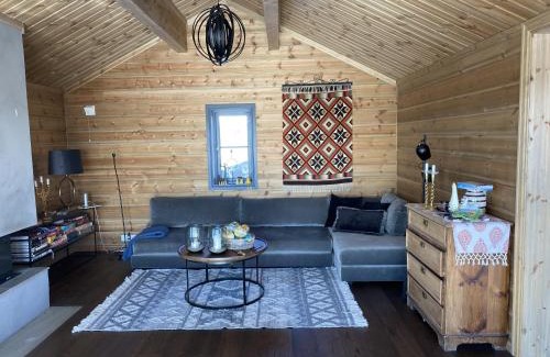 Al Municipality Casa | New, cozy, and comfortable cabin in Geilo