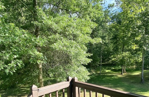 Thompson Ridge Apartamento | *NEW* Cozy Apt With Large Outdoor Space, Sleeps 4, Close to Hiking And Wineries