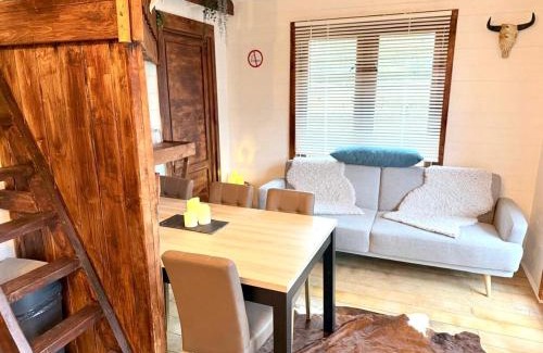 Vijfhuizen Chalet De Esquí | New cozy chalet and private garden with sauna and outdoor bath near Amsterdam