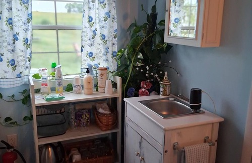 Mount Jackson Cabina | NEW! Cozy Tiny Home Retreat on Shenandoah Valley Farm