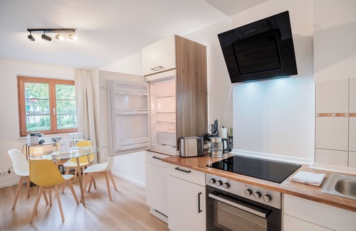 Bad Saeckingen Apartamento | new design apartment in the centre of the old town / flexible Check-in / NETFLIX