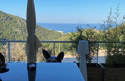 Ville-di-Pietrabugno Apartamento | New fully-equipped apartment on the heights of bastia between sea and mountains
