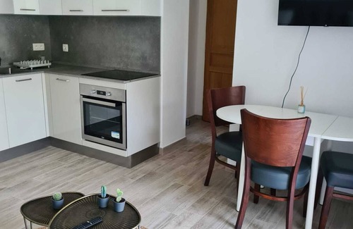 Cimiez Apartamento | New garden apartment in a villa with garden and private pool