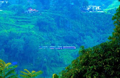 Ella Cabina | New Green View Resort
