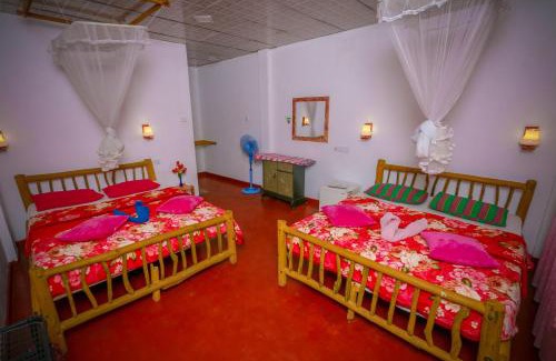 Ella Cabina | New Green View Resort