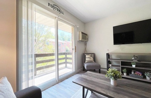 Canton Apartamento | *New Hof Apt!* - Balcony - Pet Friendly - Sleeps 4