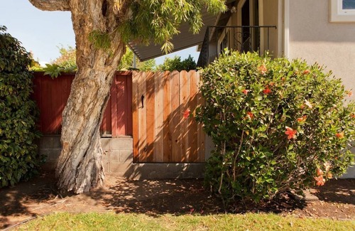 Castro Valley Apartamento | ★ ☆ NUEVA LISTA Estudio privado de leyes por Lake Chabot (40 minutos a SF)