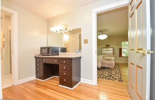 Ashtabula Casa | NEW LISTING! Stunning Disney-themed Lux House on the Lake!
