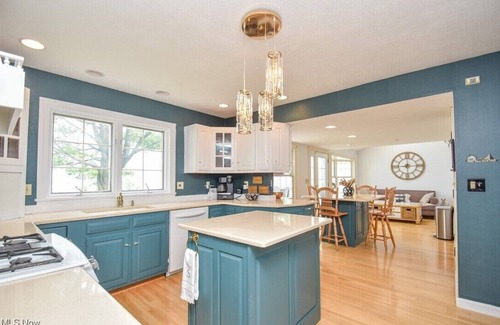 Ashtabula Casa | NEW LISTING! Stunning Disney-themed Lux House on the Lake!