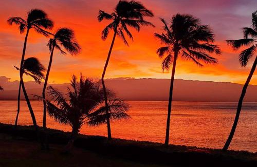 Maalaea Casa | New! Maalaea Banyans 204 - Expansive Ocean Views!