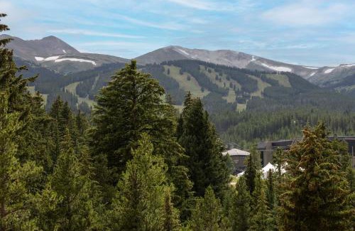 Peak 9 Apartamento | NEW! Marriott Slope View Ski in Ski out Luxury Studio Sleeps 4 Full kitchen, Amenities & Paid Parking