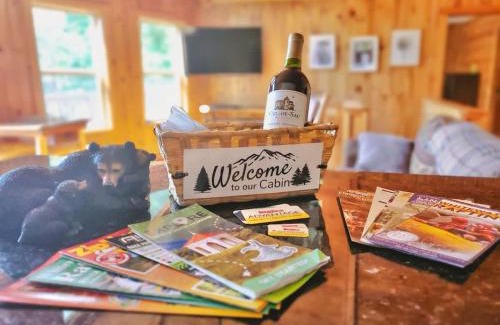 Sautee Nacoochee Casa | New Mtn Views Hot Tub Arcade Chess