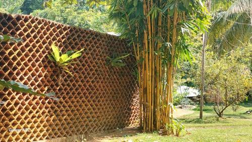Karandeniya Hotel | New Nature Palace Villa