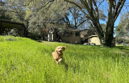 Bennett Valley Casa | NEW Oak-Encircled Serenity HotTub BBQ HWY12 & 101