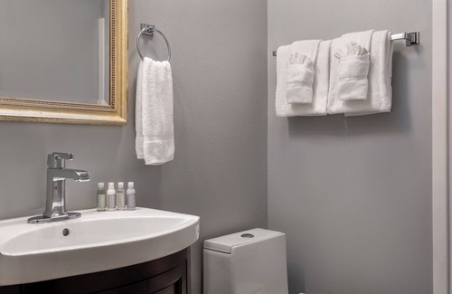 New Orleans Hotel | New Orleans Courtyard Hotel and Suites by the French Quarter