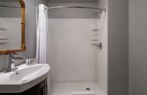 New Orleans Hotel | New Orleans Courtyard Hotel and Suites by the French Quarter