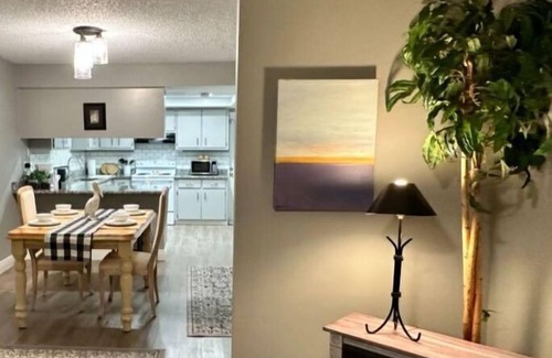 New Port Richey Apartamento | New Port Richey Hideaway