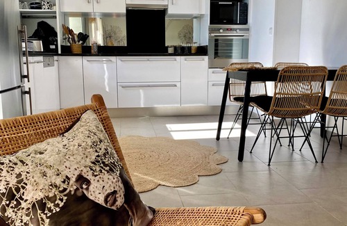 Pinarellu Apartamento | NEW! Porto Vecchio PINARELLO residence with swimming pool accommodation 600 m beach