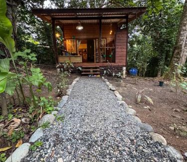 Big Creek Casa | New Premium Jungle Cabin