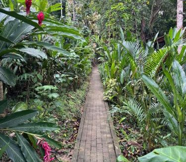 Big Creek Casa | New Premium Jungle Cabin