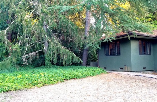 Ladera Apartamento | New! Quiet Studio. Private Entrance. Parking. WiFi. Laundry. Near Stanford.