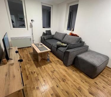 Raska Apartamento | New resort Treska, Kopaonik