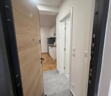 Raska Apartamento | New resort Treska, Kopaonik