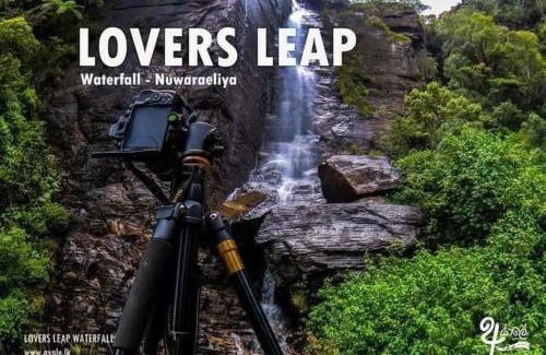 Nuwara Eliya Hotel | New shalika family cabin nuwaraeliya