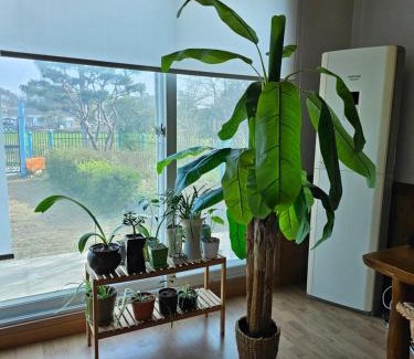 Cheongju Casa | New stay dear