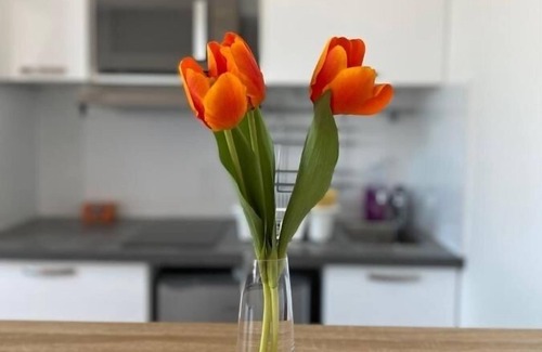 Adamville Apartamento | New studio 2 person , Paris , next to Disney and transports