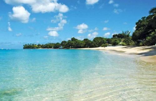 Gibbes Apartamento | New Stylish 3BR with Private Pool ! Walk to Beach