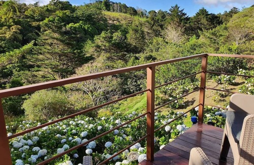 San Isidro Alquiler De RV | NEW Sukha Dome, near Poas Volcano & SJO Airprt