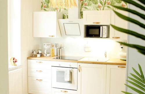 Hochfeld Apartamento | *New* tropical SECRET HIDEAWAY central+Alexa+WLAN+Netflix
