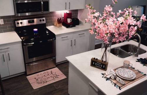 Lindbergh Apartamento | New Upscale Luxurious Apartment (BuckHead Area)