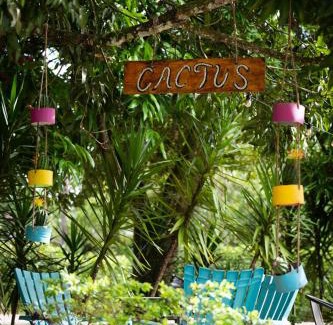 Acacias Casa | New Western