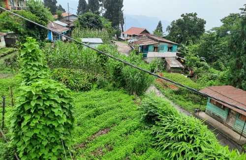 Kurseong Casa | Newa Homestay