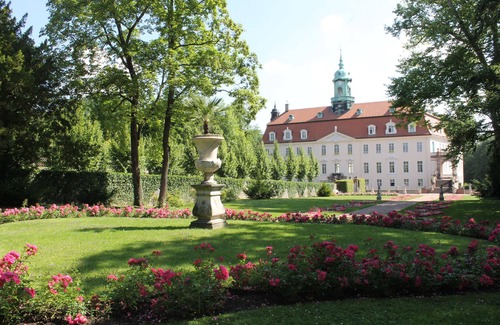 Lichtenwalde Casa | Newly renovated, cozy cottage with great comfort, pets welcome.