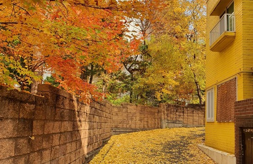 Mapo Casa | Newly Renovated 100-Year-Old House for 4pax [Gongdeok Stn./Hongdae/Seoul Stn.]