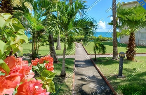 Pointe de la verdure Apartamento | Newly renovated apartment, seafront and sea view